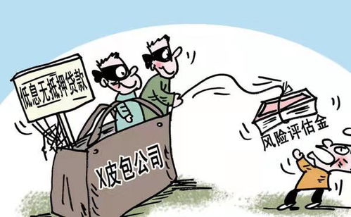 社會(huì)穩(wěn)定風(fēng)險(xiǎn)追究責(zé)任行為的信息咨詢服務(wù)解析